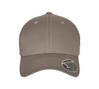Flexfit Unisex 110 Curved Visor Snapback Baseball Cap, Grey, One Size