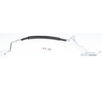 Flexible brake hose 8150 80212 TRISCAN for CHRYSLER VOYAGER Mk III