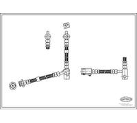 CORTECO 19033544 Brake hose