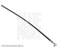 Brake Hose Fits Nissan Dualis X-Trail OE 46210JG01B Blue Print ADN153175