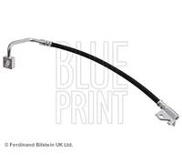 Blue Print Brake Hose ADA105320 - Front Right Hydraulic 52089256AC - New
