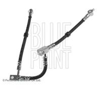 Brake Hose fits NISSAN PRIMERA P12, WP12 2.2D Front Right 2002 on YD22DDT New
