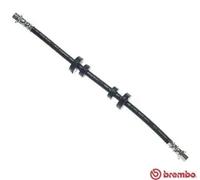 Flexible brake hose T 85 103 BREMBO for VW TRANSPORTER / CARAVELLE Mk IV Bus