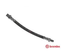 Flexible brake hose T 85 118 BREMBO for AUDI A6 C4 A6 C4 Avant