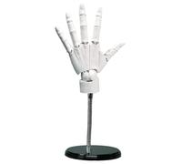 Flexible Hand Model, Articulated Hand 1:1, Left Model with Moveable Joint & Base DIY Friendly PVC for Drawing, Painting, Sketching(White)