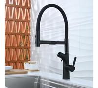Flexible Kitchen Tap with Water Filter Gooseneck Pull Down Kitchen Mixer Tap Single Lever,Black