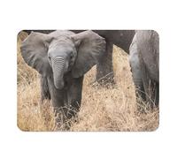 Flexible Placemat Cork Backed Placemats Baby Elephant in the Savannah Wild Life Large Size 39.5 x 28.5 cm