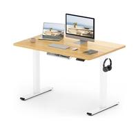 FLEXISPOT E1 Plus Electric Standing Desk ONE PIECE Height Adjustable | Sit Stand Desk with Memory Smart Panel (120 * 60cm, White Frame+Maple Desktop)