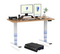 FLEXISPOT E6 MAX ONE PIECE Electric Standing Desk with USB 2 Motors 3 Stage | Height Adjustable Sit Stand Up with Memory Smart Panel(White Frame+160x80cm Maple Top)