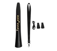 FLEXMAN Electric Blowpipe, 12 Keys ABS Electric Blowpipe Digital Wind Instrument for Practicing, Performing Music Recording