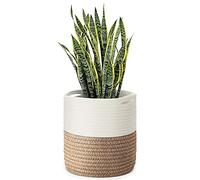 Flexzion Plant Basket for Indoor Plants - 11" x 11" Decorative Woven Basket Cotton Rope Planter Round Storage Bin with Handles for Blankets Toys Laundry, Boho Home Decor Living Room Bedroom Nursery