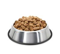 Flexzion Stainless Steel Dog Bowl No Mess Non Spill Dog Water Bowl Rubber Base Dog Bowls for Medium Sized Dog, Food and Water Dish, Pet Food Holder, 22 cm