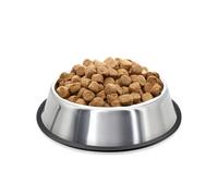 Flexzion Stainless Steel Dog Bowl No Mess Non Spill Dog Water Bowl Rubber Base Dog Bowls for Medium Sized Dog, Food and Water Dish, Pet Food Holder, 22 cm