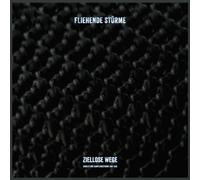 Fliehende Sturme - Ziellose Wege (Singles & Samplerbeiträge 1989-1998 [VINYL]