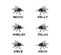 FLIES ON THE WALL - JOKE!