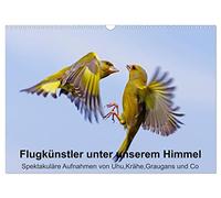 Flight artists under our sky - Spectacular photographs of eagle owl, crow, gray goose and Co. UK-Version (Wall Calendar 2026 DIN A3 Landscape), CALVENDO 12 Month Wall Calendar