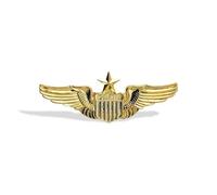 Flight Attendant Pin Air Force Pin Top Gun Pins Enamel Pilot Wings Pins for Backpacks Aviation Accessories Gift, L, Zinc, no gemstone