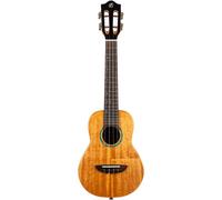 Flight Iris Tinta Concert NA