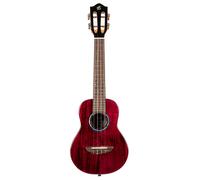 Flight Iris Tinta Concert TPP