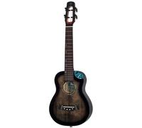 Flight Nighthawk Concert EQ-A