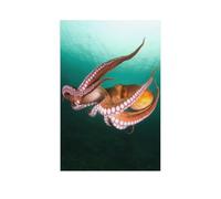 Flight of squid in the deep sea, turquoise-colored ocean，Jigsaw Puzzles For Adults 1000 Pieces Paper Jigsaw Relax Puzzles Games-Brain Teaser Puzzle Family Games（50x70cm）-AR55