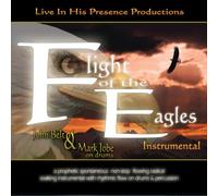 Flight of the Eagles Instrumental