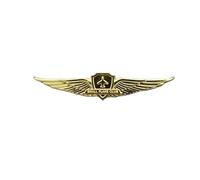 Flight Officer Wings Badge Navigation Airlines Civil Aviation Metal Badge Brooch Pins Medal of Challenge Coins(19)