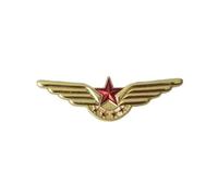Flight Officer Wings Badge Navigation Airlines Civil Aviation Metal Badge Brooch Pins Medal of Challenge Coins(6)