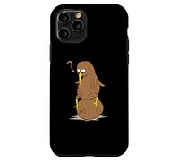 flightless Kiwi Bird and Kiwi Fruit from New Zealand Animal Case for iPhone 11 Pro