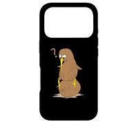 flightless Kiwi Bird and Kiwi Fruit from New Zealand Animal Case for iPhone 17 Pro