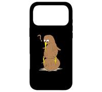 flightless Kiwi Bird and Kiwi Fruit from New Zealand Animal Case for iPhone 17 Pro Max