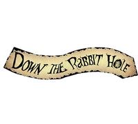 Flinelife Down The Rarbbit Hole Sign,16x4