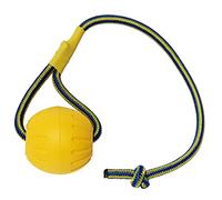 Fling Dura Foam Ball With Rope Dog Toy, Water Float Toy, Tug Toy for Small Medium Large Dogs (3.5 Inch)