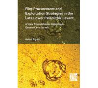 Flint Procurement and Exploitation Strategies in the Late Lower Paleolithic Levant : A View from Acheulo-Yabrudian Qesem Cave (Israel)