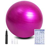 flintronic Exercise Ball, Anti-brust Yoga Ball Fitness Balls, 55cm Extra Thick Swiss Balls with Hand Pump for Yoga, Pilates, Fitness