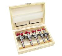 flintronic Forstner Drill Bit, 5PCS (15-35mm) Positioner Drill Bit Set, Hinge Hole Cutter, Hole Boring Bit, Carbide Woodworking Hole Saw with Depth Stoper (Depth Range:10~40mm), Hole Puncher Locator