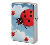 Flip-Top Metal Lighter Case for Outdoor, Windproof Lighters Shell Box for Man, Ladybug and Cloud Lighters Cover Shell for Protect Lighter, Dad Husband Gift Collect