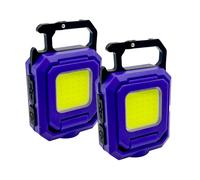 Flipo Set of 2 Adjustable Mini Spot and Flood Light BLUE