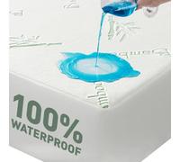 Flippeddream Cooling Queen Mattress Protector-100% Waterproof & Noiseless Rayon Fiber Mattress Cover (60" x 80") Size Bed Soft, Breathable, Guards Against Spills Matterss Pad - Pockets Up to 21″