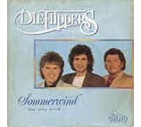 FLIPPERS - Sommerwind / Ich glaub an dich / S 139