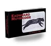 Fliptomania Muybridge Cat Flipbook