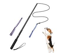 Flirt Wand for Dog | Interactive Toys for Dogs Chasing and Tug of War - Retractable Puppy Enrichment Game for Outdoor Exercise Entertainment Playing Obedience Training