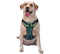 Floating Castle Dog Harness for Small, Medium, and Large Dogs-Adjustable, Breathable Dog Vest with Quick Release Buckles