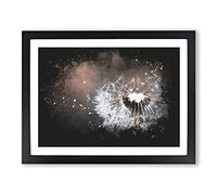 Floating Dandelion Seeds Paint Splash Modern Art Framed Wall Art Print, Ready to Hang Picture for Living Room Bedroom Home Office Décor, Black A3 (46 x 34 cm)