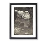 Floating Duck By Theo Van Hoytema Classic Painting Framed Print | A3 Black Framed Wall Art | Ready to Hang | Classic Animal Picture | Living Room Bedroom Lounge Office