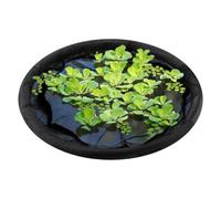 Floating Flora Fish Barrier 31.5" Plant Protector Fine Mesh Floating Pond Corral with Lifting Ring Round Protective Polyester Floating Plant Corral from Fish Plant Protector Floating Plant Pot Floatin