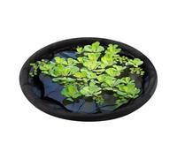Floating Island Plant Protector - Innovative Design, Island Planter for Ponds | Round Floating Flora Fish Barrier for Gardeners Hobbyists Backyard Courtyard