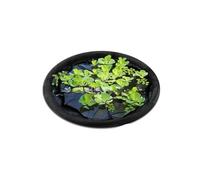 Floating Island Plant Protector Pond Basket With Fine Meshing Round Floating Flower Fish Barrier Island Fish Barrier Plant Guard