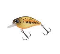 Floating lure Berkley Dex Thumper Doré 4 cm