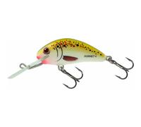 Floating lure Salmo Hornet 7g Multicolore 5 cm
